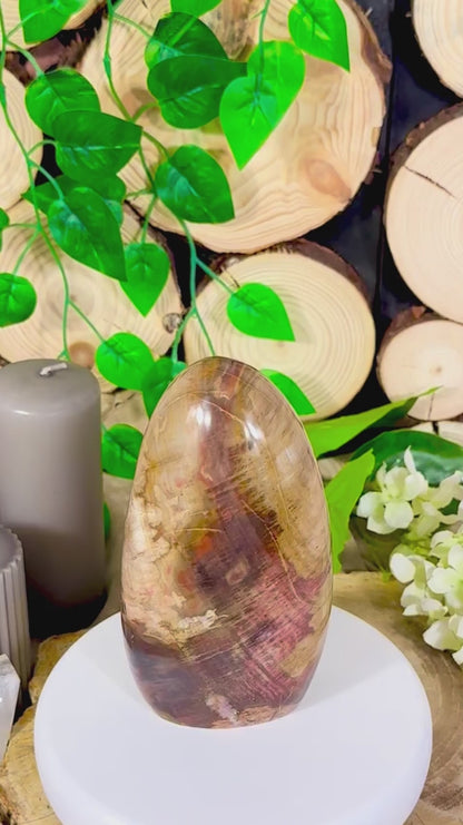Fundstück Nr. 113 | Versteinertes Holz in Freiform