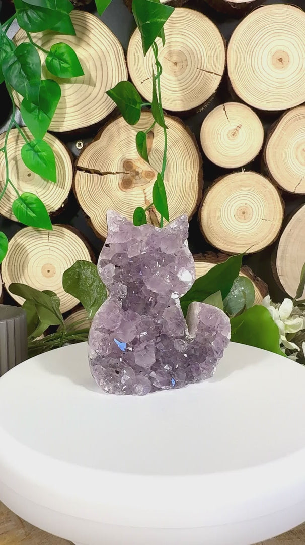 Fundstück Nr. AY16 | Amethyst Katze
