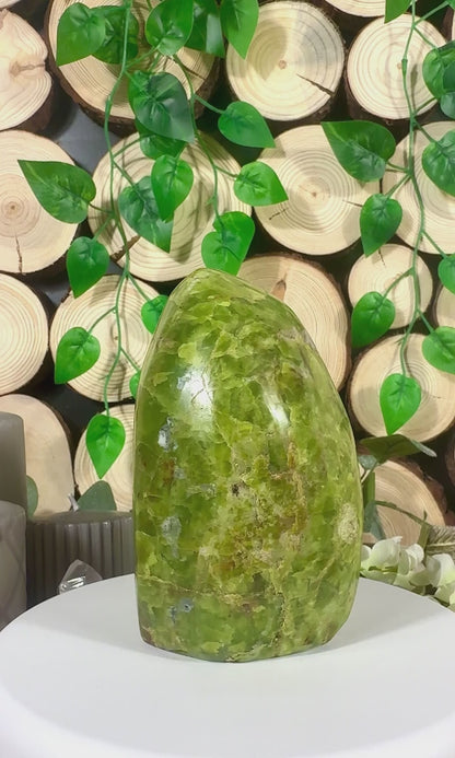 Fundstück Nr. GO5 | Grüner Opal