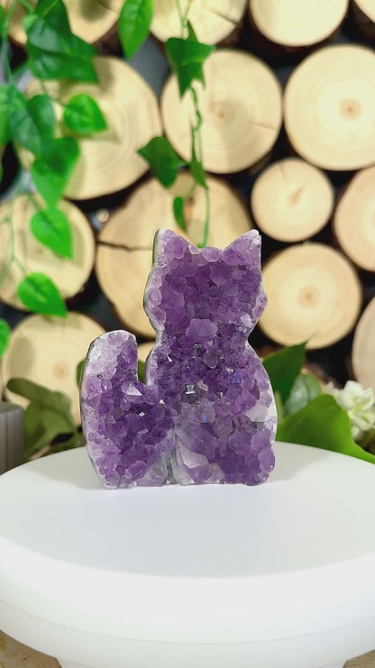 Fundstück Nr. AY15 | Amethyst Katze