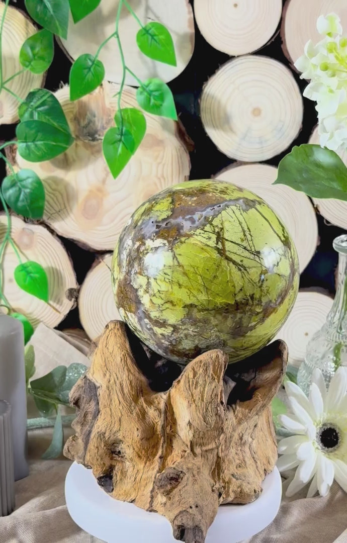 Fundstück Nr. 21 | Grüner Opal auf Wurzelthron - Wenn Natur beginnt zu leuchten