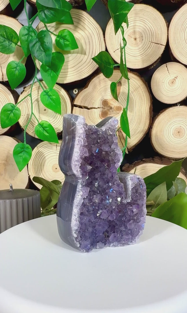 Fundstück Nr. AY13 | Amethyst Katze