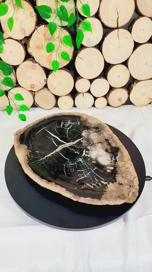 Fundstück Nr. 145 | Versteinertes Holz - Urkraft in Plattenform