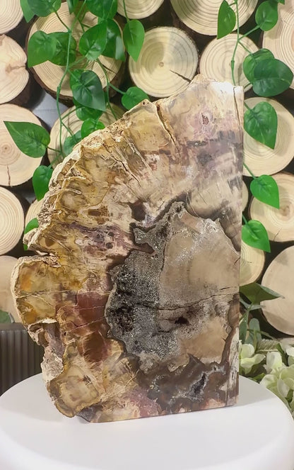 Fundstück Nr. VH14 | Versteinertes Holz auf Ständer