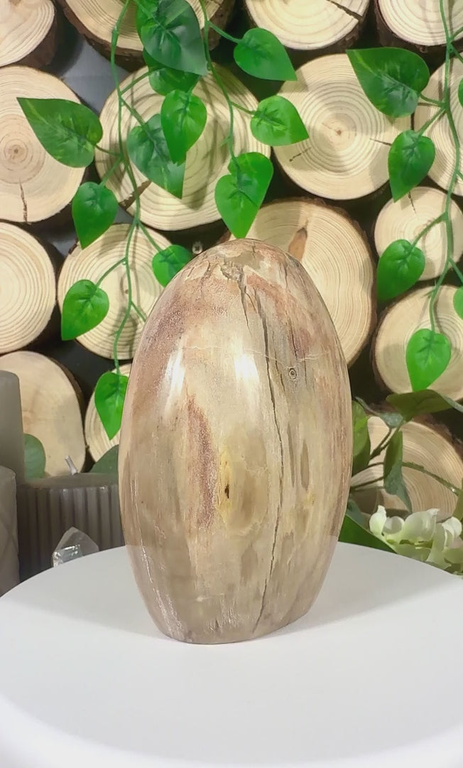 Fundstück Nr. VH6 | Versteinertes Holz